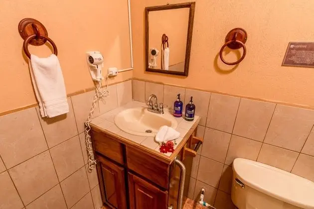 Superior Tek Büyük Yataklı Oda, 1 Büyük (Queen) Boy Yatak, Özel Banyo