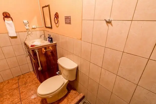 Superior Tek Büyük Yataklı Oda, 1 Büyük (Queen) Boy Yatak, Özel Banyo