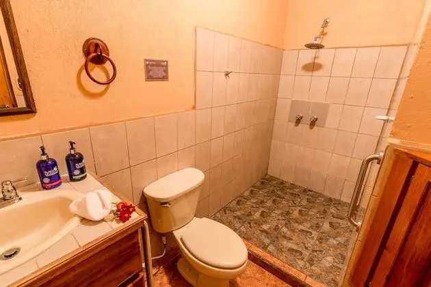 Superior Tek Büyük Yataklı Oda, 1 Büyük (Queen) Boy Yatak, Özel Banyo