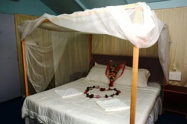 Premium Kır Evi, Deniz Manzaralı (Non A/C)