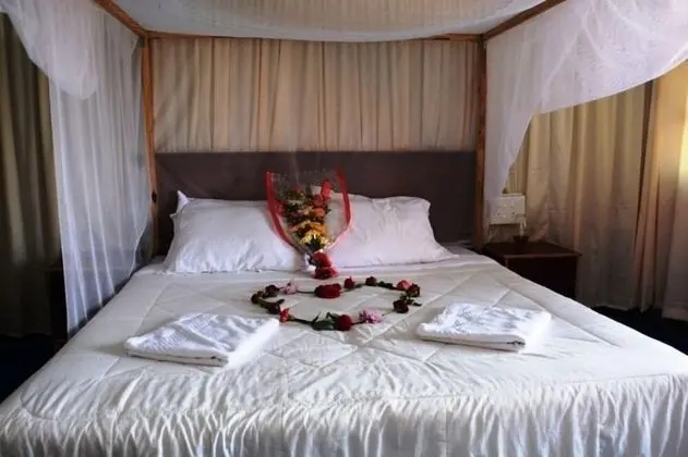 Premium Kır Evi, Deniz Manzaralı (Non A/C)
