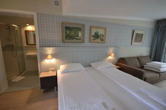 Luxury Tek Büyük Yataklı Oda