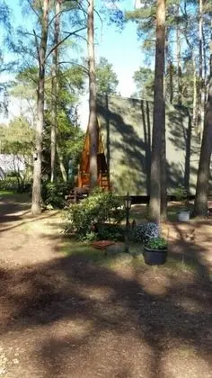 Basic Kulübe, 2 Yatak Odası, Sigara İçilmez, Denize Sıfır