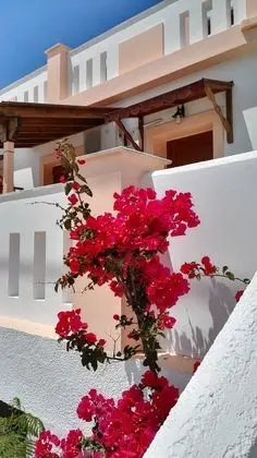 Stüdyo, Deniz Manzaralı