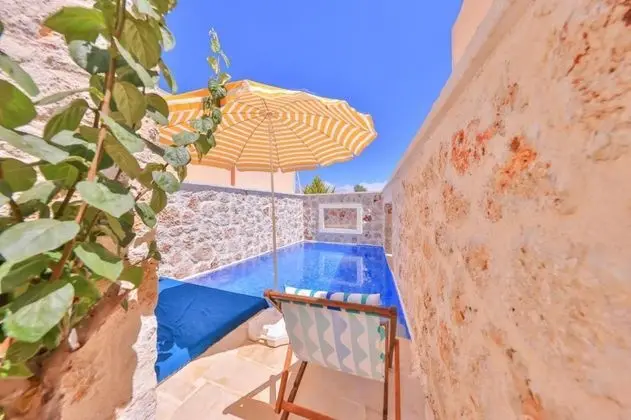 1+1 Villa, Havuz Manzaralı, Özel Havuzlu ve Jakuzili