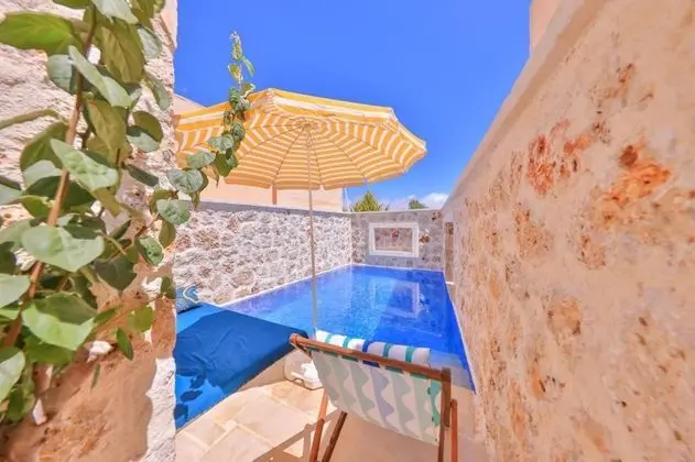 1+1 Villa, Havuz Manzaralı, Özel Havuzlu ve Jakuzili