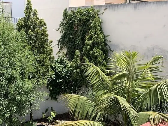 Family Üç Kişilik Oda