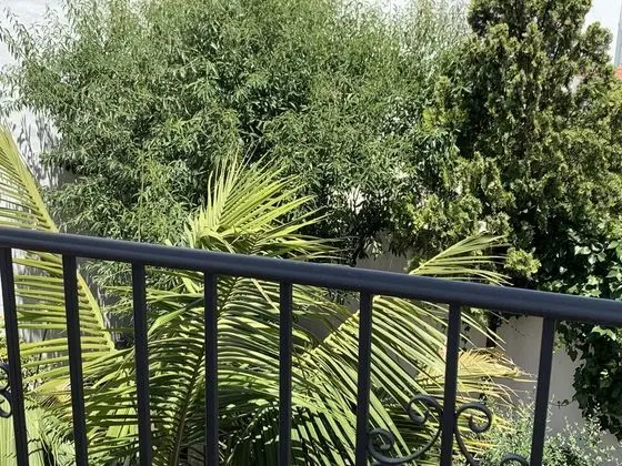 Family Üç Kişilik Oda