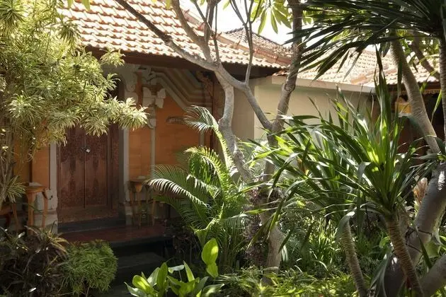 Suite Garden View
