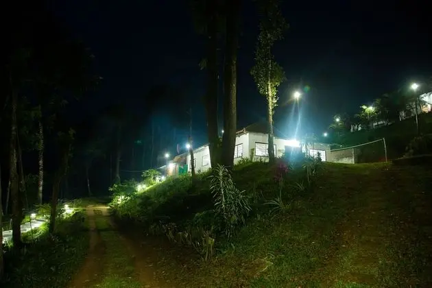 Oda, 1 Yatak Odası, Sigara İçilebilir, Balkon