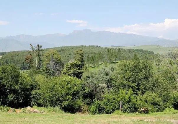 Premier Tek Büyük veya İki Ayrı Yataklı Oda, 1 Yatak Odası, Bahçe Manzaralı