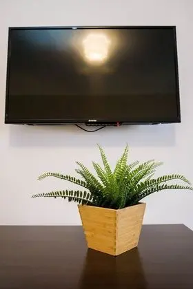 Superior Tek Büyük Yataklı Oda, 1 En Büyük (King) Boy Yatak, Bahçe Manzaralı