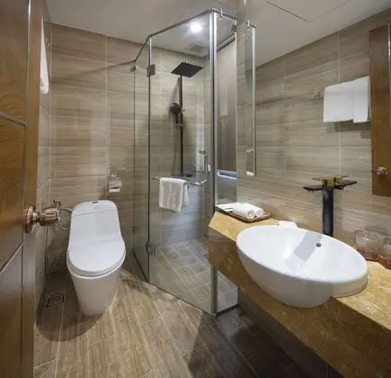 Deluxe Tek Büyük Yataklı Oda (No Window)