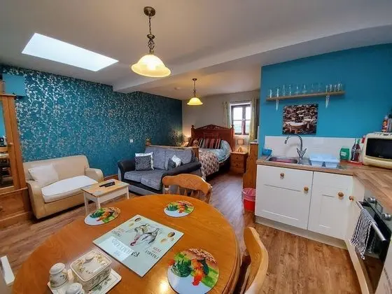 Standard Stüdyo (Pet Friendly Room)