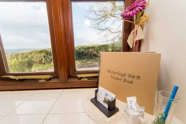 Standard Stüdyo (Pet Friendly Room)