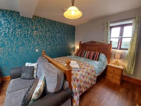 Standard Stüdyo (Pet Friendly Room)