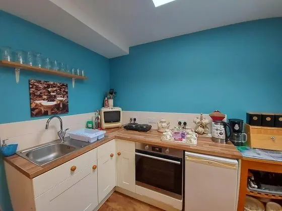 Standard Stüdyo (Pet Friendly Room)