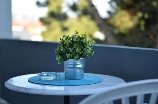 Business Apart Daire, Sigara İçilmez, Balkon (Medium)