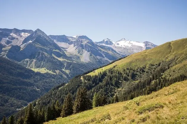 Superior Tek Büyük Yataklı Oda, Balkon, Dağ Manzaralı (Gletscherblick)