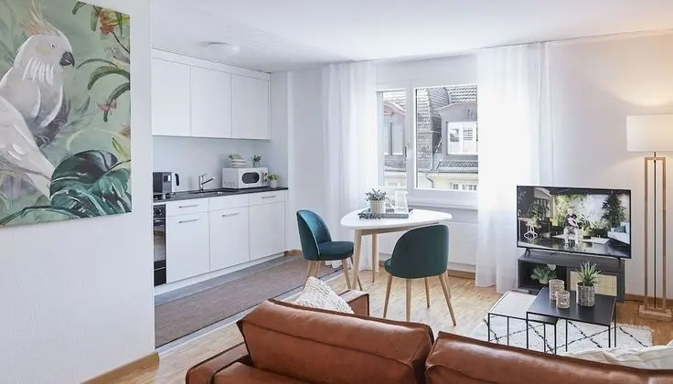 Classic Apart Daire, 1 Yatak Odası, Mutfak, Şehir Manzaralı