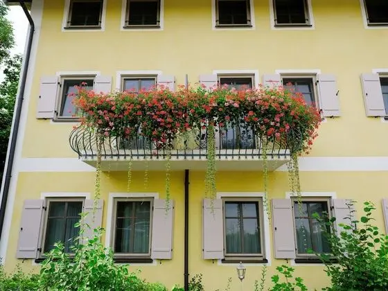 Tek Büyük Yataklı Oda, Balkon