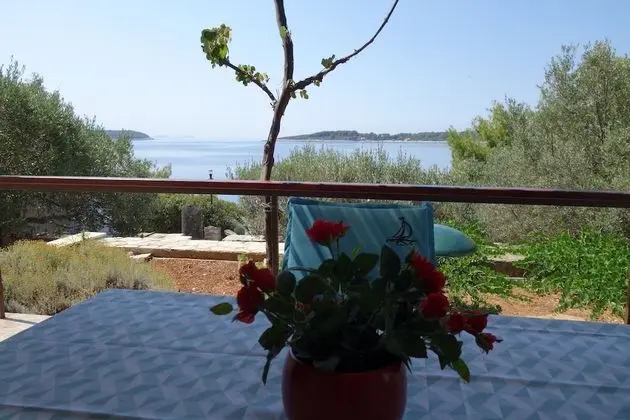 Apart Daire (Nev - 20m from the sea - A1 Veliki(4+)