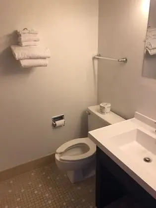 Deluxe Tek Kişilik Oda, 1 Çift Kişilik Yatak, Sigara İçilmez