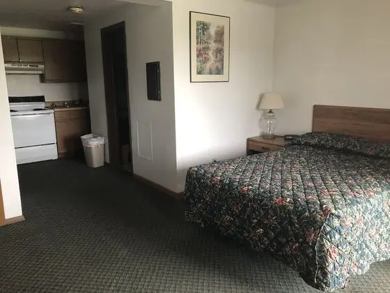 Executive Tek Kişilik Oda, 1 Çift Kişilik Yatak, Sigara İçilmez