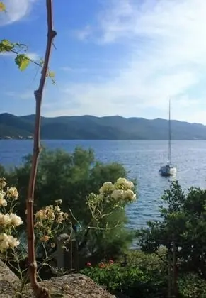 Apart Daire (Nevenkos - 20 m from beach - A2(4+2))