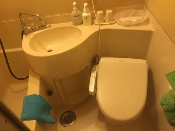 İki Ayrı Yataklı Oda, Sigara İçilmez, Göl Manzaralı (Crystal Building)