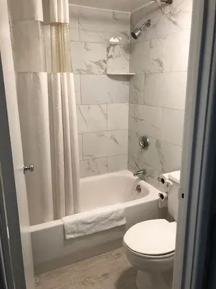 Standard Oda, Sigara İçilmez, Avlu