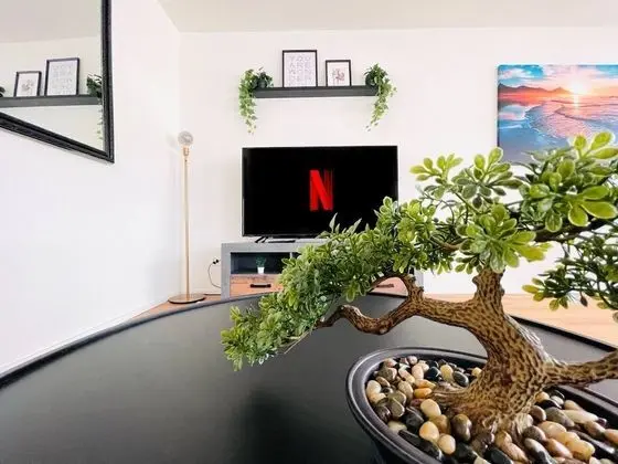 Apart Daire, 1 Yatak Odası, Engellilere Uygun, Balkon