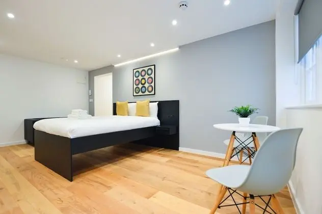 Lower Ground Floor Deluxe Studio Apartment