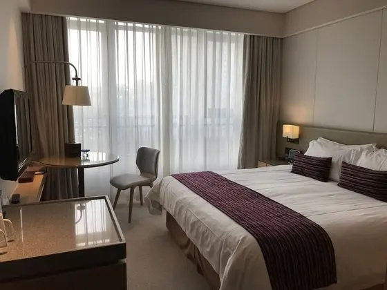 Standard Tek Kişilik Oda, Şehir Manzaralı