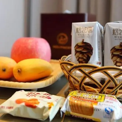 Standard Tek Kişilik Oda, Şehir Manzaralı