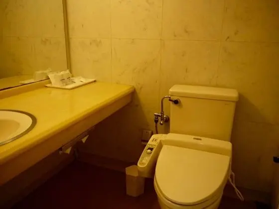 Deluxe Oda (Deluxe B, Smoking allowed in balcony)