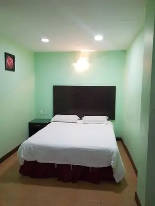Tek Büyük Yataklı Oda (Budget)