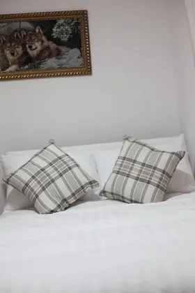 Standard Tek Büyük Yataklı Oda (Shared)