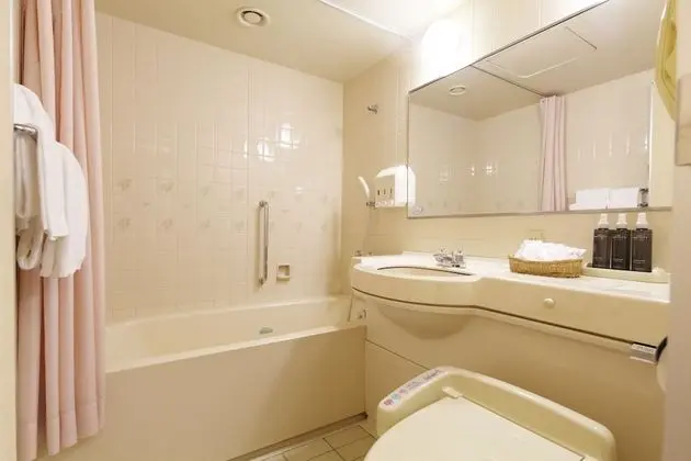 Basic Tek Büyük Yataklı Oda, Sigara İçilmez (160cm,1 Bed)