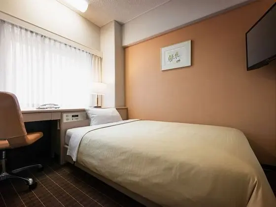 Standard Tek Kişilik Oda, Sigara İçilmez (120cm, 1 Bed)