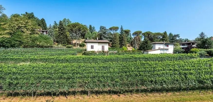 Apart Daire, 1 Yatak Odası, Engellilere Uygun