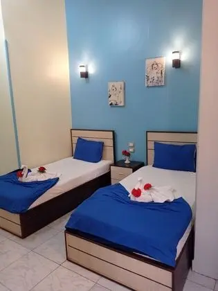 Deluxe İki Ayrı Yataklı Oda, Balkon, Şehir Manzaralı