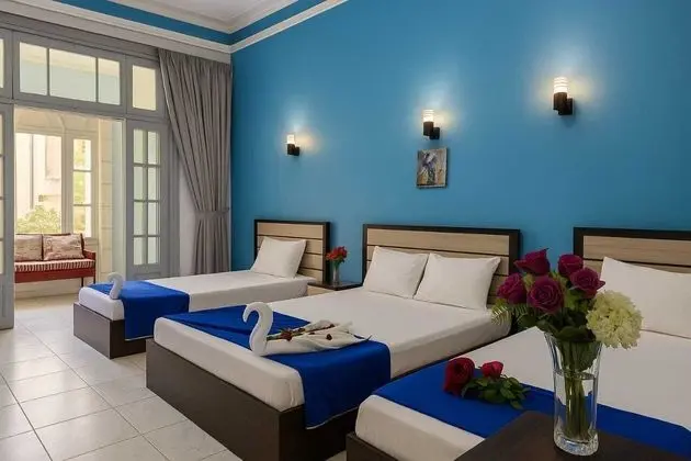 Deluxe İki Ayrı Yataklı Oda, Balkon, Şehir Manzaralı