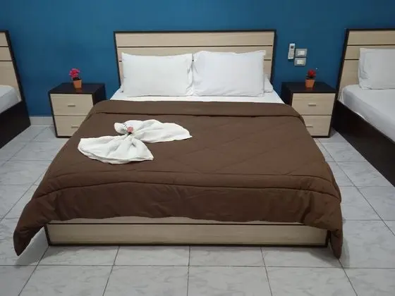 Deluxe Tek Kişilik Oda, Balkon, Şehir Manzaralı