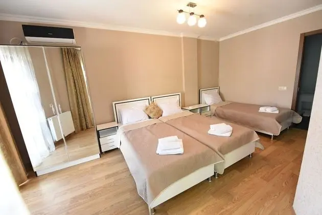 Classic Apart Daire, 3 Yatak Odası, Şehir Manzaralı