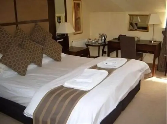 Tek Büyük Yataklı Oda, Banyolu/Duşlu (Champagne)