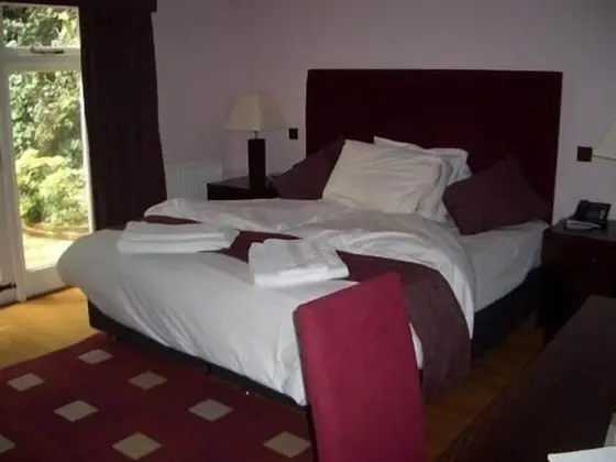 Tek Büyük Yataklı Oda, Banyolu/Duşlu (Merlot )