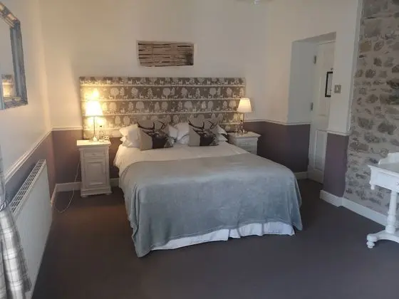 Superior Tek Büyük Yataklı Oda, Banyolu/Duşlu