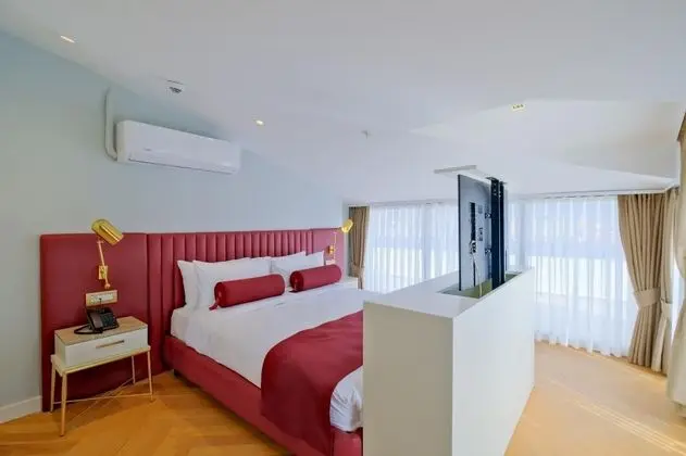 Penthouse Type 1