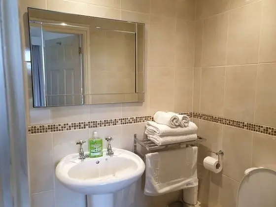 Traditional Tek Büyük veya İki Ayrı Yataklı Oda, Banyolu/Duşlu
